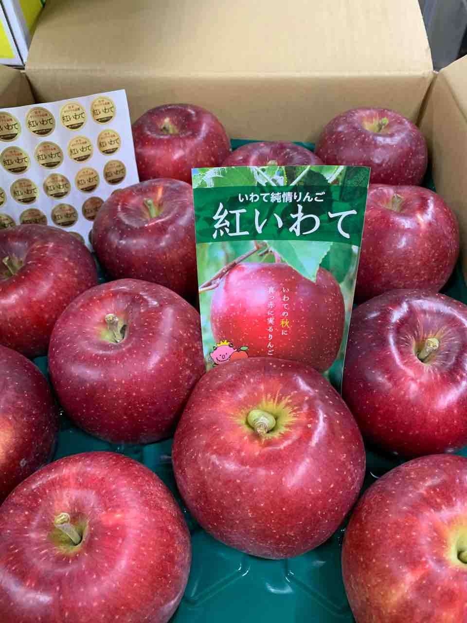 岩手県でしか栽培されてないリンゴです 東大阪市金岡商店街 岩手県でしか栽培されてないリンゴです 東大阪市金岡商店街