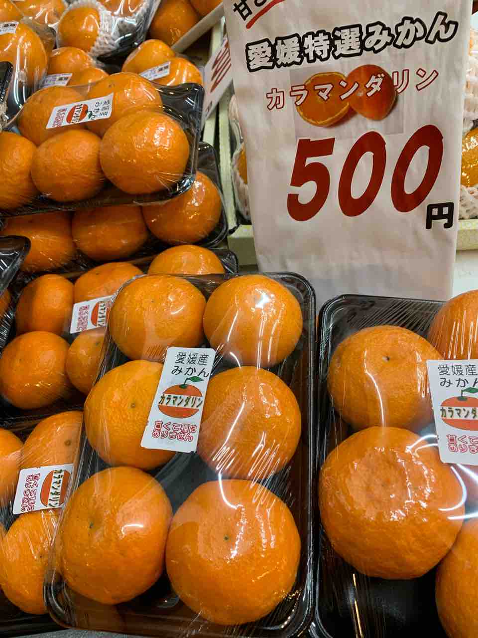 愛媛の特選みかん 今が旬のみかんです 東大阪市金岡商店街 愛媛の特選みかん 今が旬のみかんです 東大阪市金岡商店街