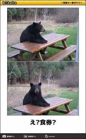 お前らが笑った画像を貼れ 金金金 金３つでなんて読むか分かる マサちゃんねる