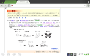 アンサーガイド