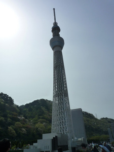 ミニチュア