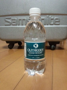 ホテルの水