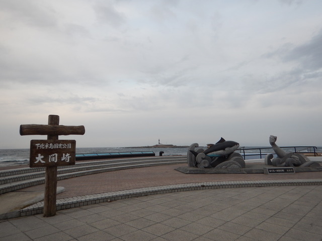 DSCN6599