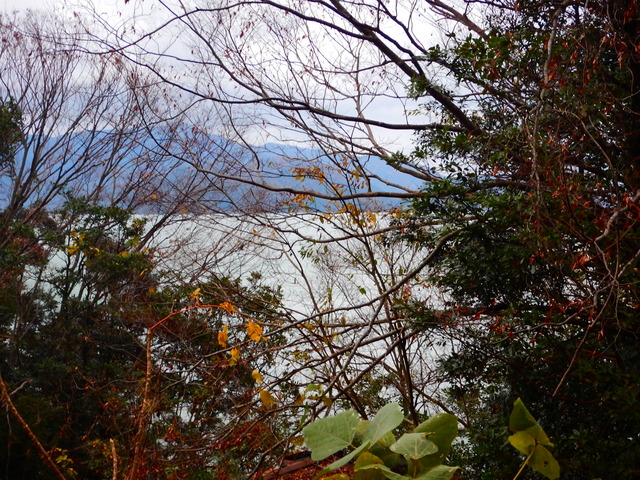 DSCN7082