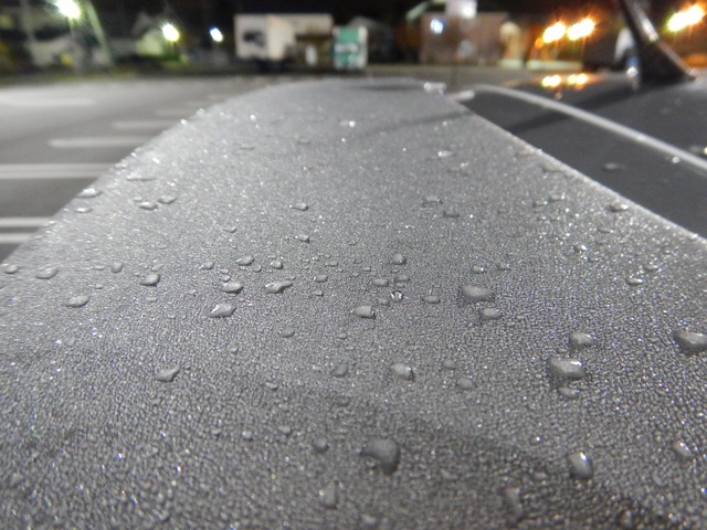 DSCN2425