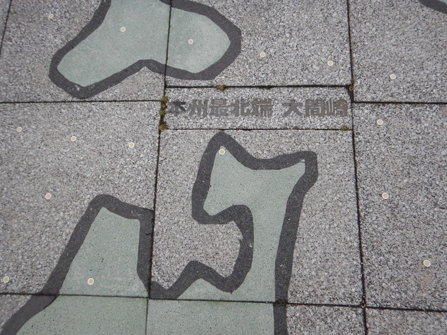 DSCN6609