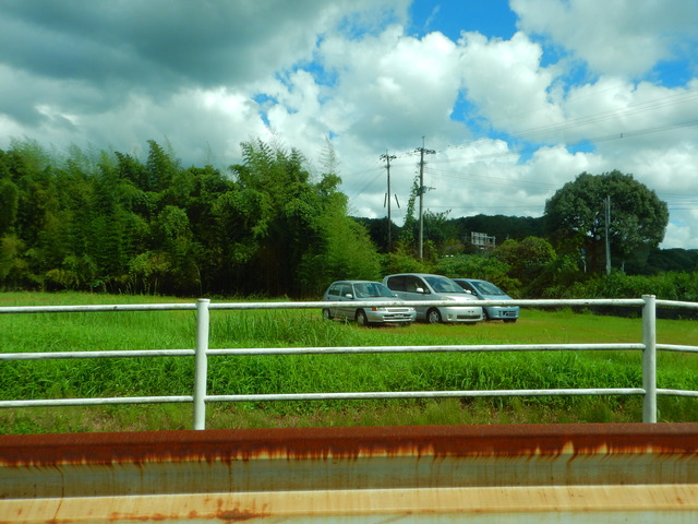 DSCN7981