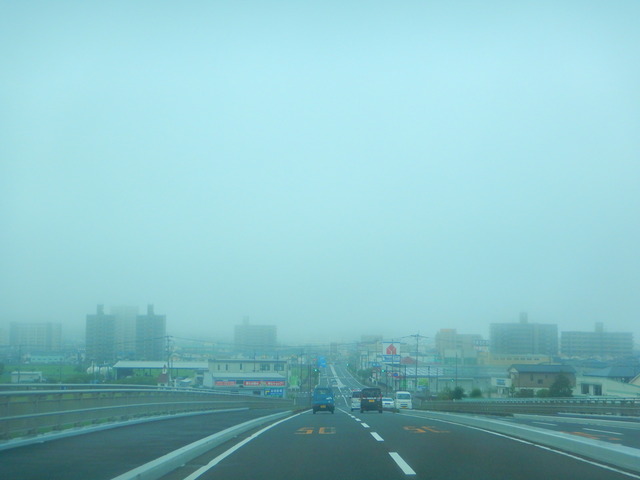 DSCN8232