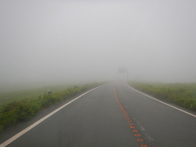 DSCN7939
