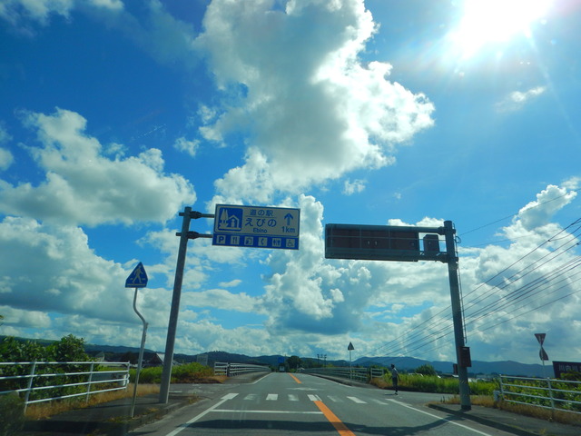 DSCN7989