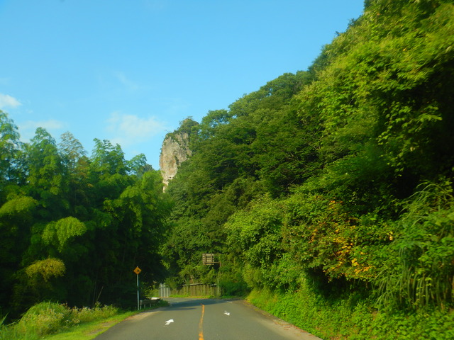 DSCN7876