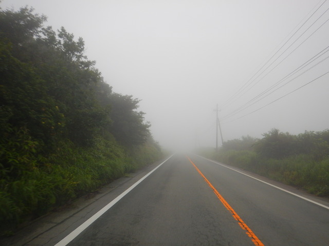 DSCN7954