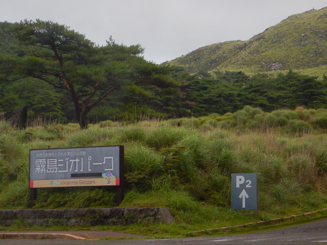 DSCN8001