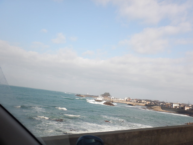 DSCN6467
