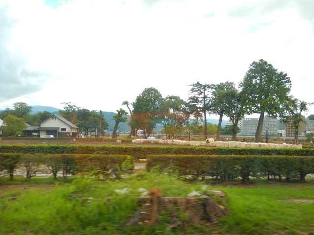 DSCN7966
