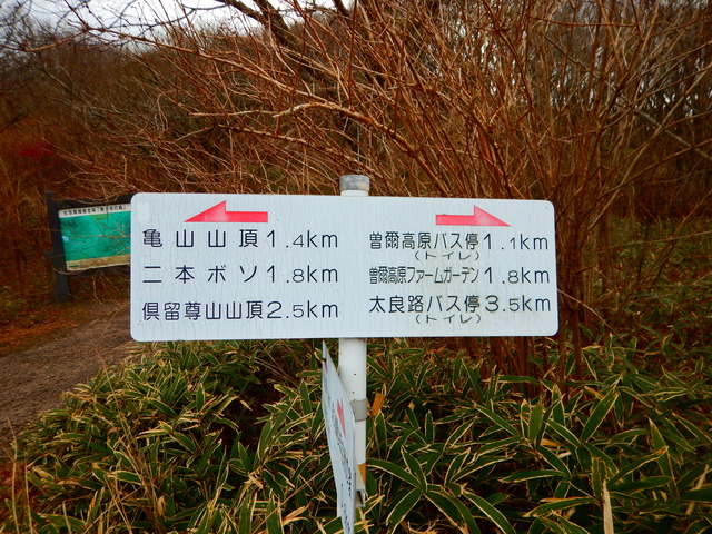 DSCN7102