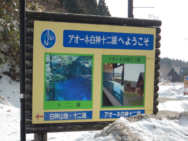 DSCN6498