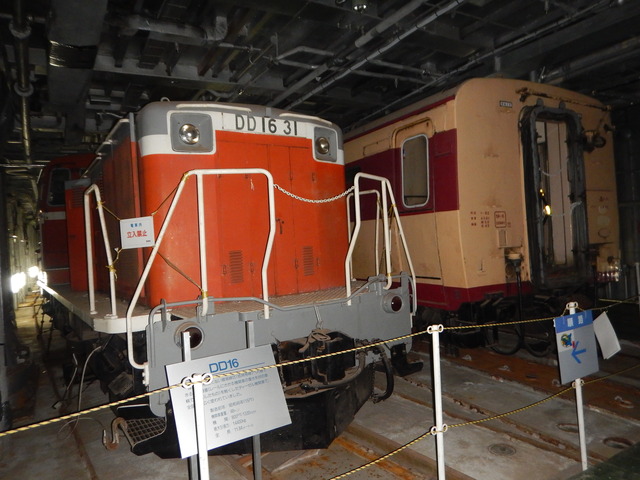 DSCN6556