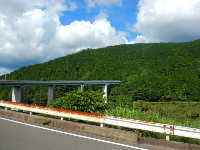DSCN7986