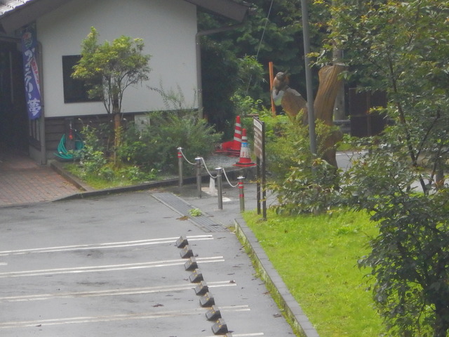 DSCN7933