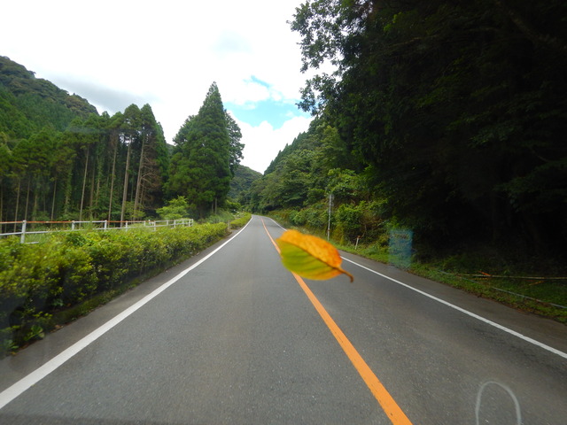 DSCN7957