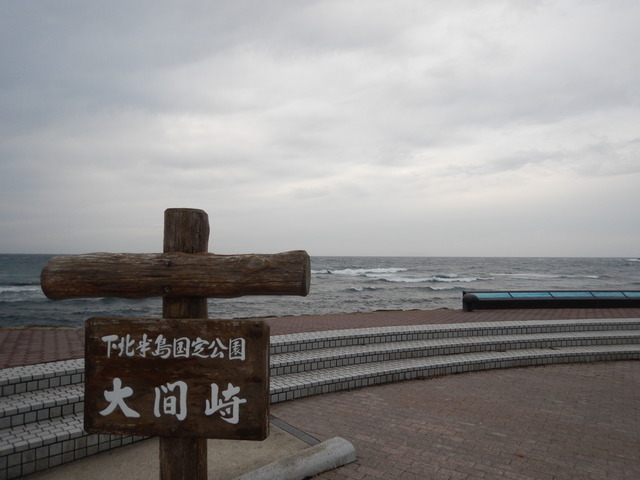 DSCN6601
