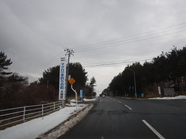 DSCN6594