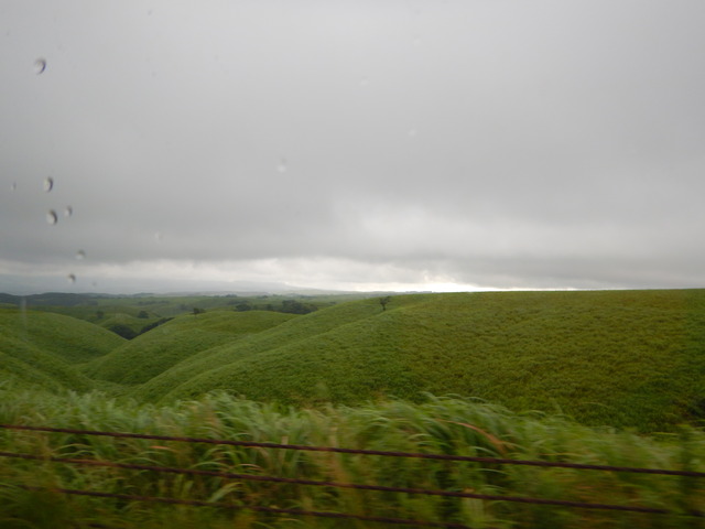 DSCN7936