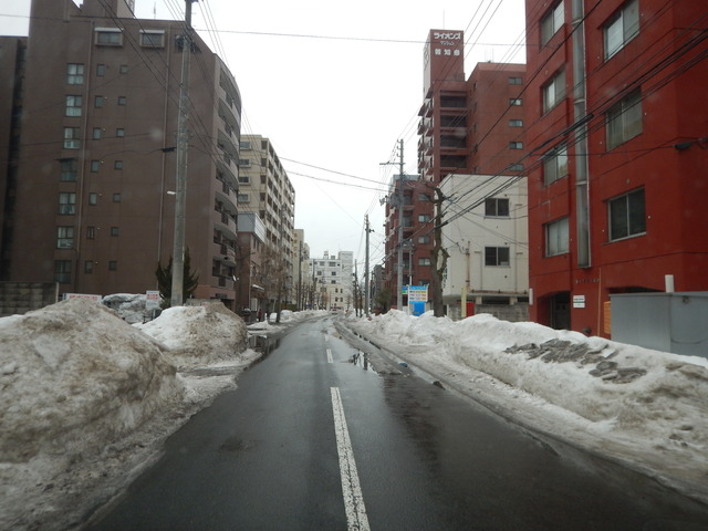 DSCN6567