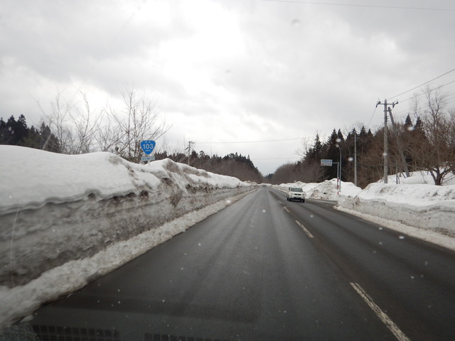 DSCN6570