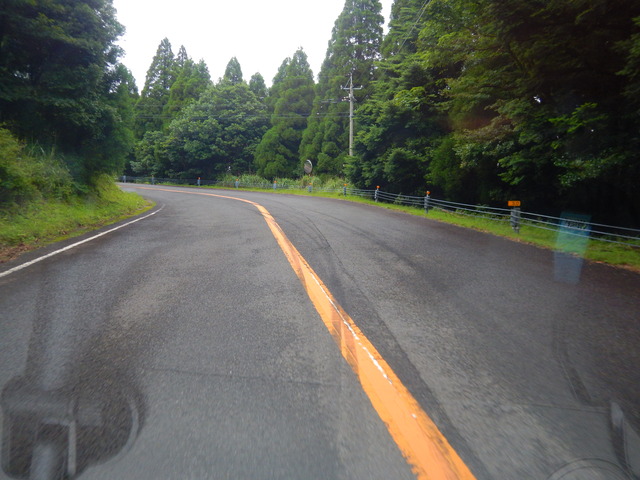 DSCN8000