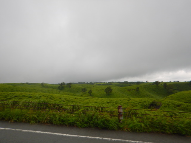DSCN7935