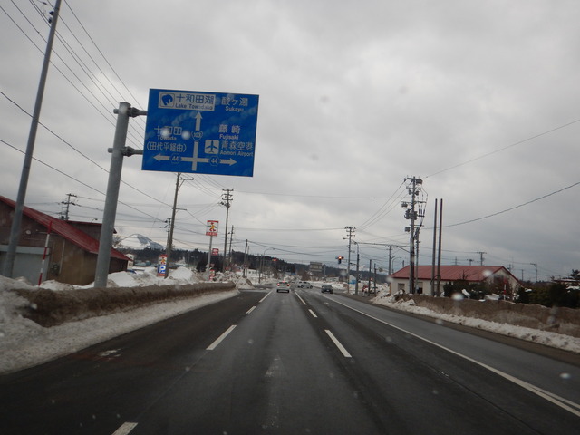DSCN6569