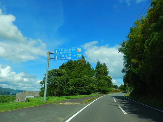DSCN7991