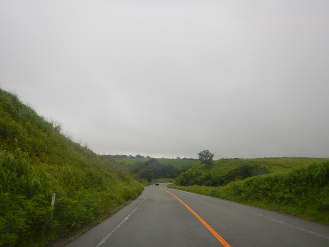 DSCN7937