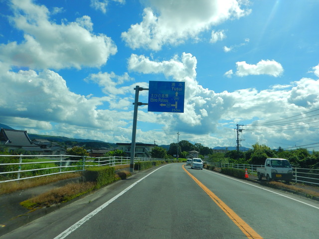 DSCN7990