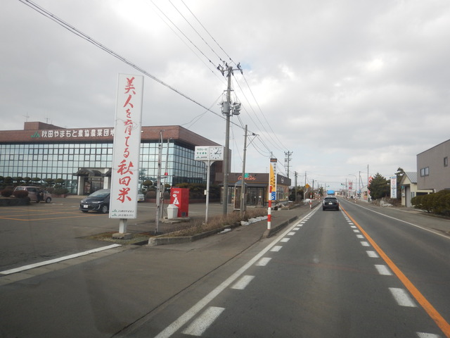 DSCN6483