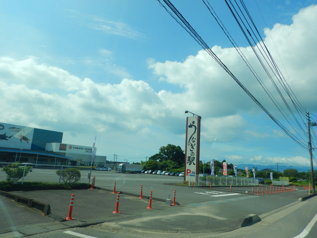 DSCN8107