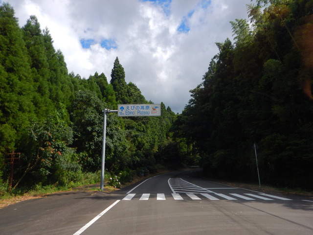 DSCN7997