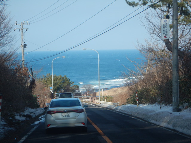 DSCN6505