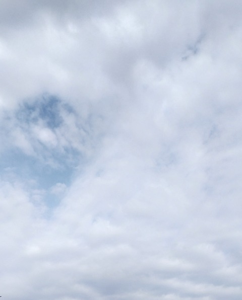 IMG_20220509_073754