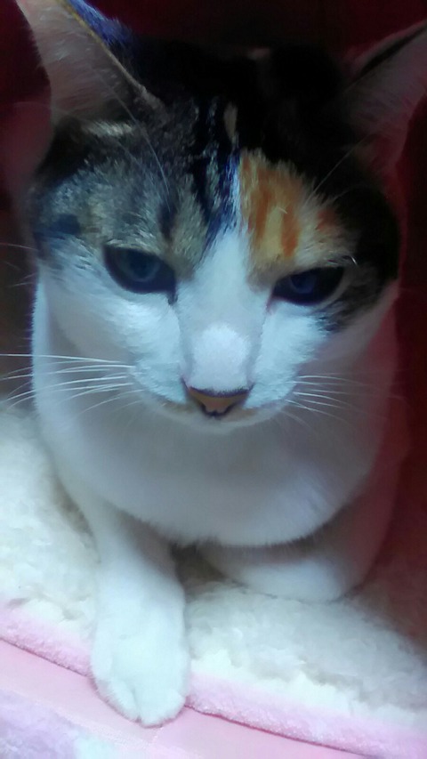 P_20200123_210814_LL