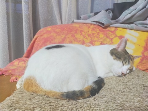IMG20220528192025