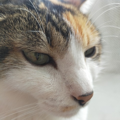 IMG20260608081046