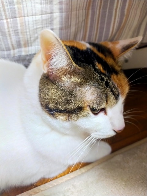 IMG20250103173247