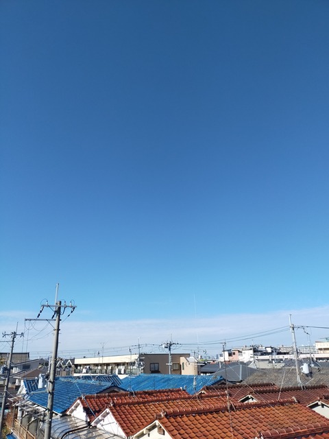 IMG20201124113103