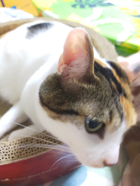 IMG20220626074847