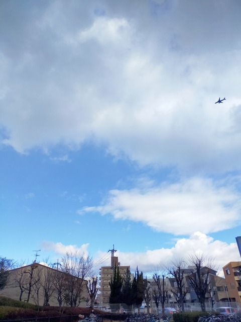 IMG_20230128_102825