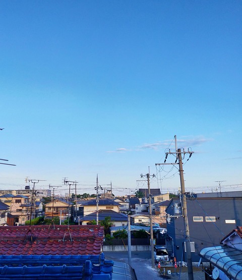 IMG_20250528_055248