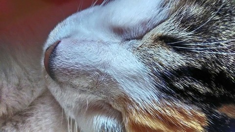 P_20191224_224853_HDR